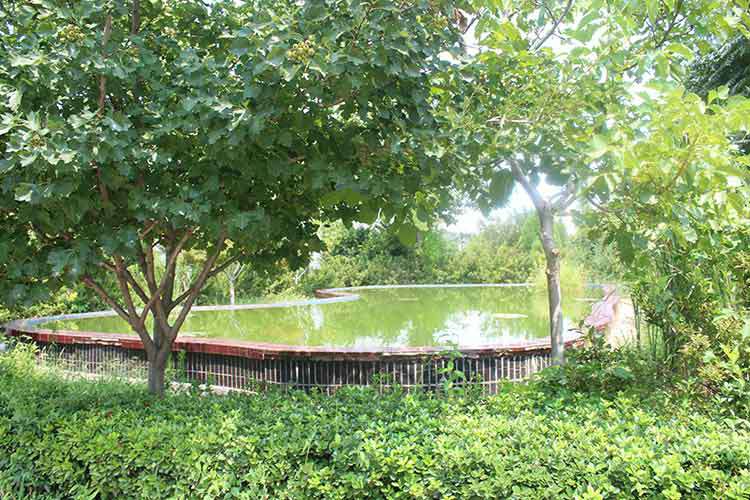 石家庄学岺信息咨询有限公司机械厂区环境优美